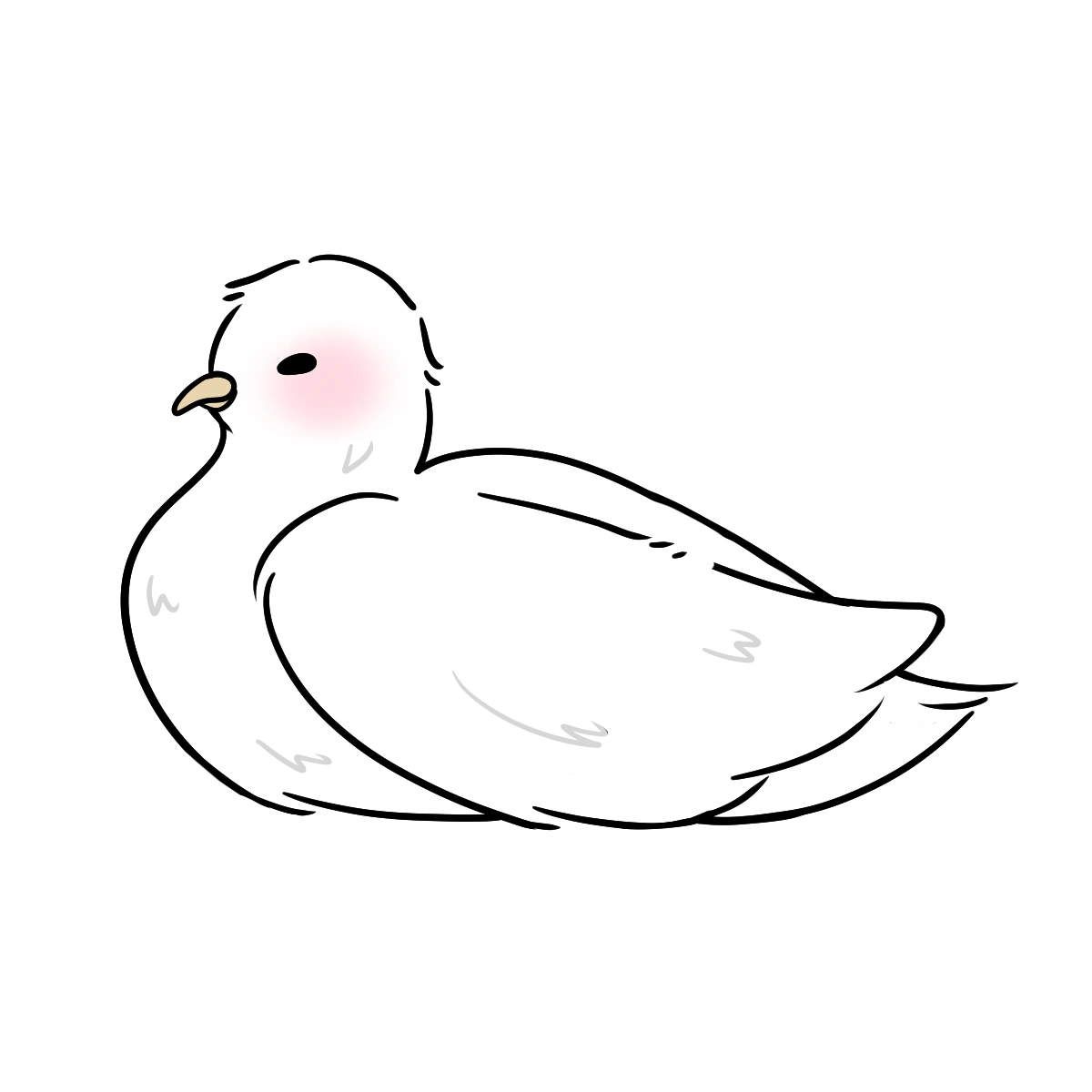 Pigeon