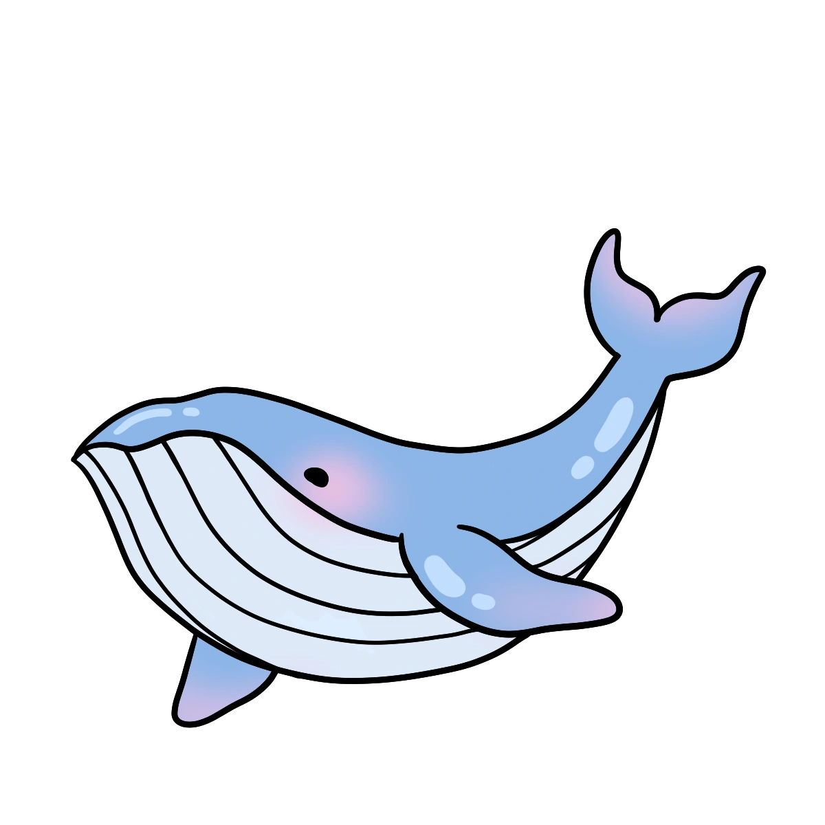 Blue Whale