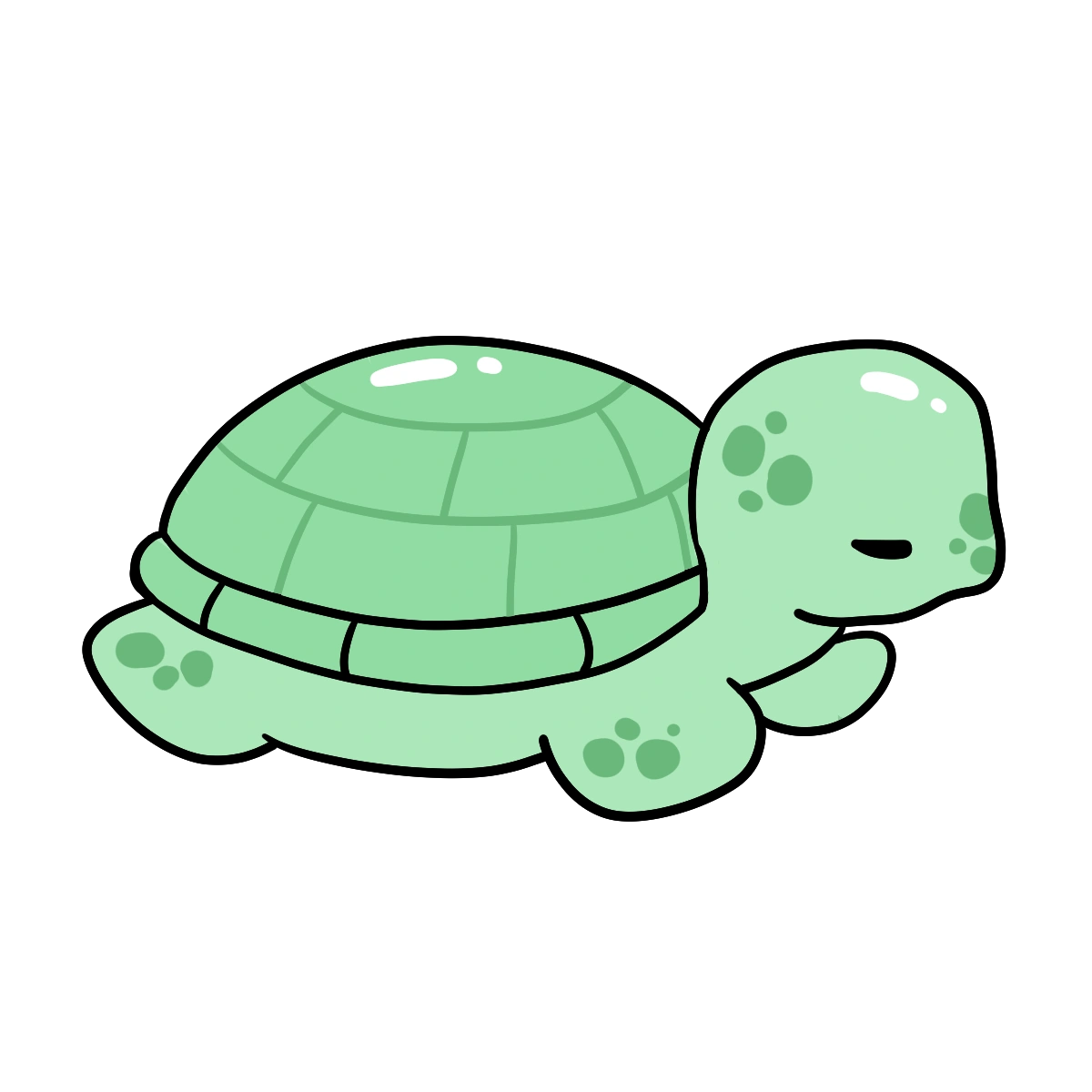 Sea Turtle
