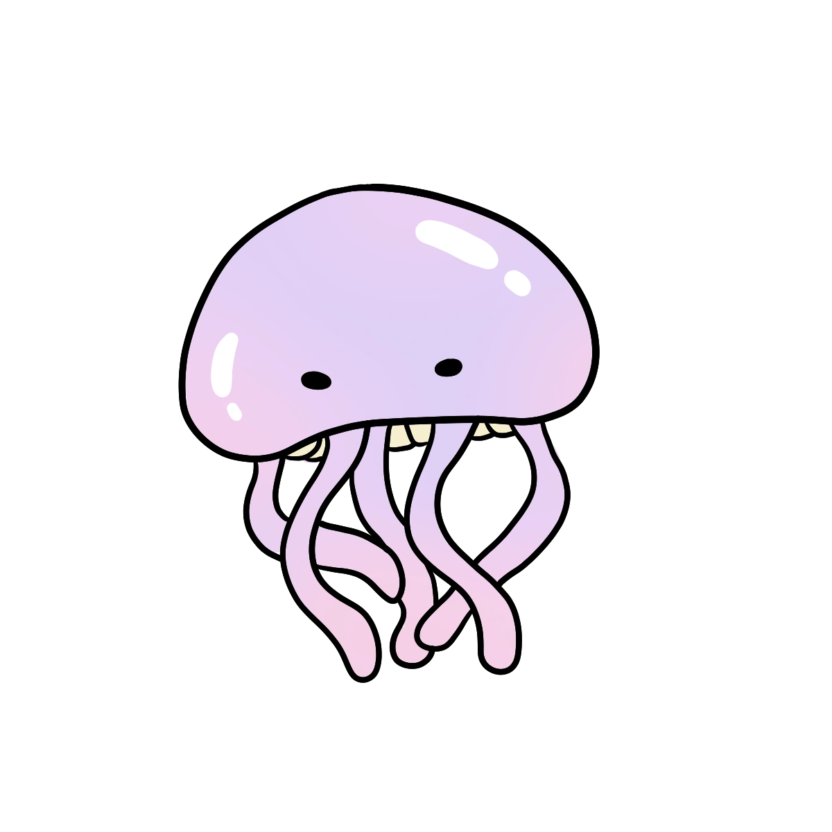 Jellyfish