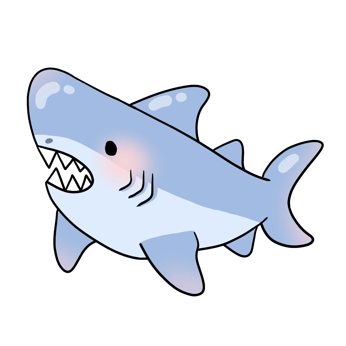 Shark
